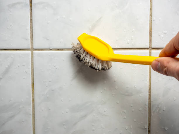 Best Mold Remediation Experts  in Channahon, IL