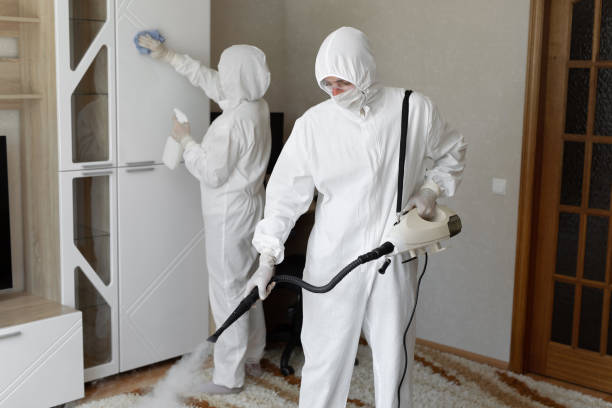 Best Emergency Mold Removal  in Channahon, IL