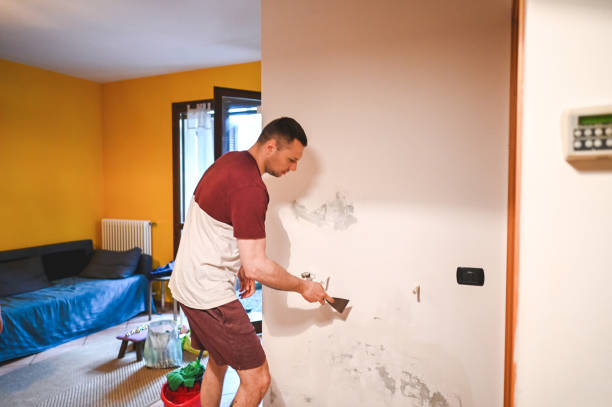 Best Mold Damage Repair  in Channahon, IL
