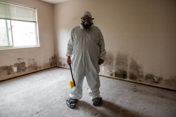 Best Office Mold Removal Services  in Channahon, IL